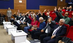 Aliağa Belediye Meclisi 6 Mayıs’ta toplanacak