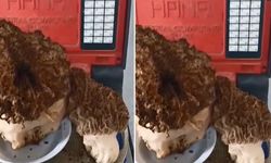 Böylesi ne görüldü ne duyuldu! 1.8 kiloluk mantar şaşırttı