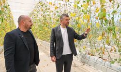 Buca Belediyesi’nin serasına zarar verdiler... 1.5 milyon kayıp