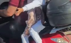 Bursa’da motosiklet üzerinde tehlikeli yolculuk