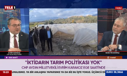 CHP Aydın Milletvekili Evrim Karakoz