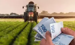 Çiftçiye 3,3 milyar liralık destek ödemesi bugün hesaplara yatacak