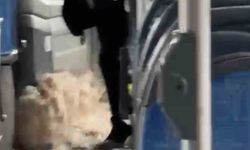 Diyarbakır’da sağanak yağış nedeniyle biriken su halk otobüsüne taştı