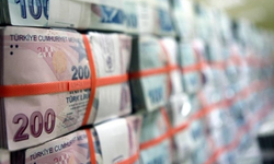 Hazine’den 257 milyarlık faiz rekoru