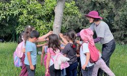 İzmir’de çocuklara özel doğa ve masal etkinliği!