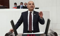 Mahir Polat: Kutuplaştırma siyaseti bu saldırıyı doğurdu