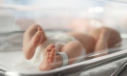 Türkiye'de 2024 yılında 937 bin 559 bebek doğdu