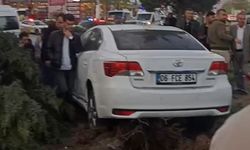 Van’da kontrolden çıkan araç ağaca çarptı: 2 yaralı