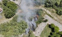 Adilcevaz’da Van Gölü sahilinde yangın paniği: Kafe yakınında sazlık alan yangını