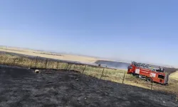 Diyarbakır Büyükşehir'den anız yangınlarına karşı uyarı