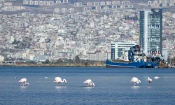 İzmir 'iklim nötr' hedeflerini dünyaya tanıttı