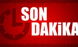 Ali Sami Yen Spor Kompleksi'nin yakınında yangın!