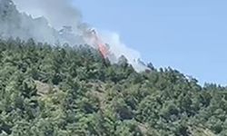 Ankara’da orman yangını çıktı