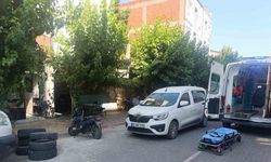 Annesi tarafından öldürülmüştü: Cinayetin detayları ortaya çıktı