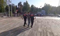 Foça’daki orman yangınıyla ilgili 1 tutuklama