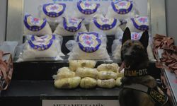 Hakkari’de bir tırda 66 kilo 120 gram metamfetamin ele geçirildi