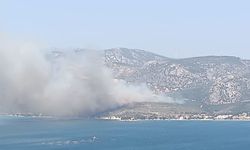 İzmir’de çıkan orman yangınına havadan ve karadan müdahale başladı