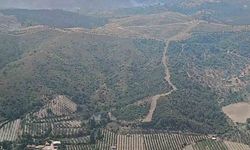 İzmir’de ormanlık arazide çıkan yangın kontrol altında