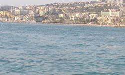 Kuşadası’nda denizde ceset bulundu