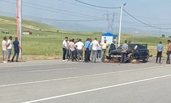 Otomobil sürüye çarptı, onlarca koyun telef oldu