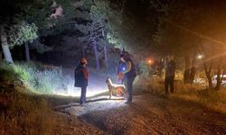 Pendik’te ormana girdikten sonra haber alınamayan şahıs için arama çalışmaları başlatıldı