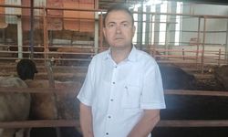 Sattığı kurbanlık dananın fotoğrafını çekerken canından oldu