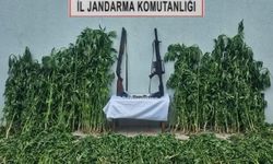 Tekirdağ’da jandarmadan uyuşturucu ve silah operasyonu