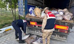 Van’da 19 ton 200 kilo inci kefali balığı ele geçirildi