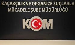 Van’da 30 milyon TL değerinde 7 kilo altın ele geçirildi