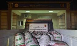 Van’da kaçak balık avlayan 16 kişiye 205 bin 360 lira idari para cezası uygulandı