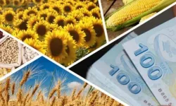Çiftçilere 1,7 milyar TL’lik destek ödemesi hesaplarda