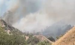 Efeler’de zirai alan yangını: Havadan ve karadan müdahale!
