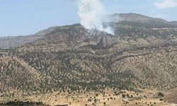 Hakkari’de orman yangını