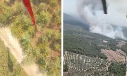 Manisa Saruhanlı'da orman yangını: Havadan ve karadan müdahale ediliyor