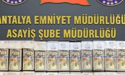 MİT görevlisi kılığına girip 10 milyonluk dolandırmak istedi