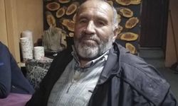 Ormanda kestiği ağaç üzerine devrilen orman işçisi hayatını kaybetti