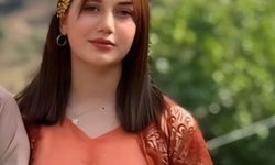 Rojda'dan iki gündür haber alınamıyor... Ekipler seferber oldu...