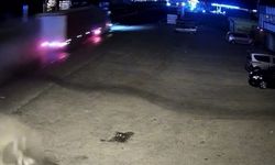 2 kişinin ölümüne neden oldu, İzmir'de yakalandı