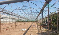 Antalya’da serada cinayet: 2 ölü