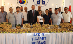 Aydın’da kuru incir sezonu 800 TL’den açıldı