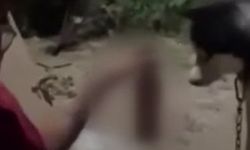 Bir kişi köpeğine alkol içirdi, tepki yağdı