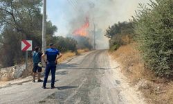 Bodrum Yakaköy’de makilik alanda yangın