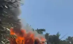Bodrum’da ev yangını korkuttu: Ormana sıçramadan söndürüldü