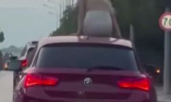Çeşme’de trafiği tehlikeye atan dans...