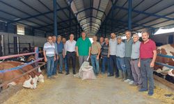 CHP'li Gürer: Bir litre süt satıp bir bardak çay içemiyorlar