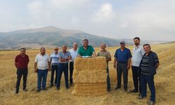 CHP'li Gürer: Buğday ve arpa alım fiyatı çiftçinin yüzünü güldürmedi