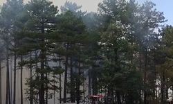 Denizli Honaz’da orman yangını çıktı, müdahale sürüyor