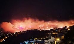 Dikili’de gece otluk yangını korkuttu