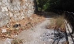 Efeler Belediyesi Pınarbaşı alt yolunu unuttu, yol çöplüğe döndü