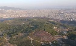 İzmir’de gün ağardı, yangında acı tablo ortaya çıktı